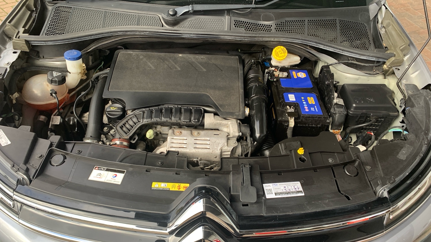 Used Citroen C4 Cactus 2019 for sale - 76359100: Photo 18