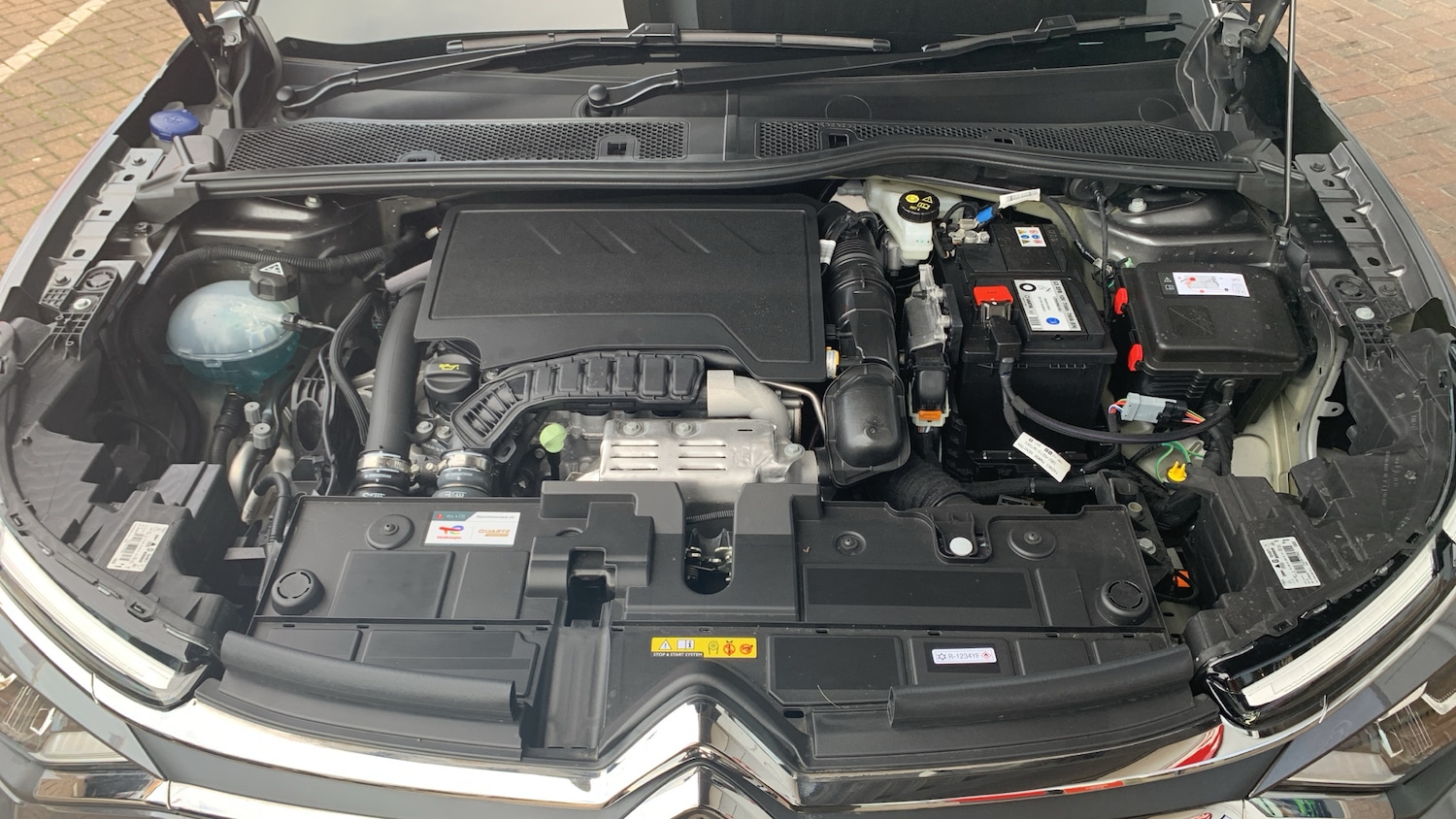 Used Citroen C4 2024 for sale - 77292643: Photo 19