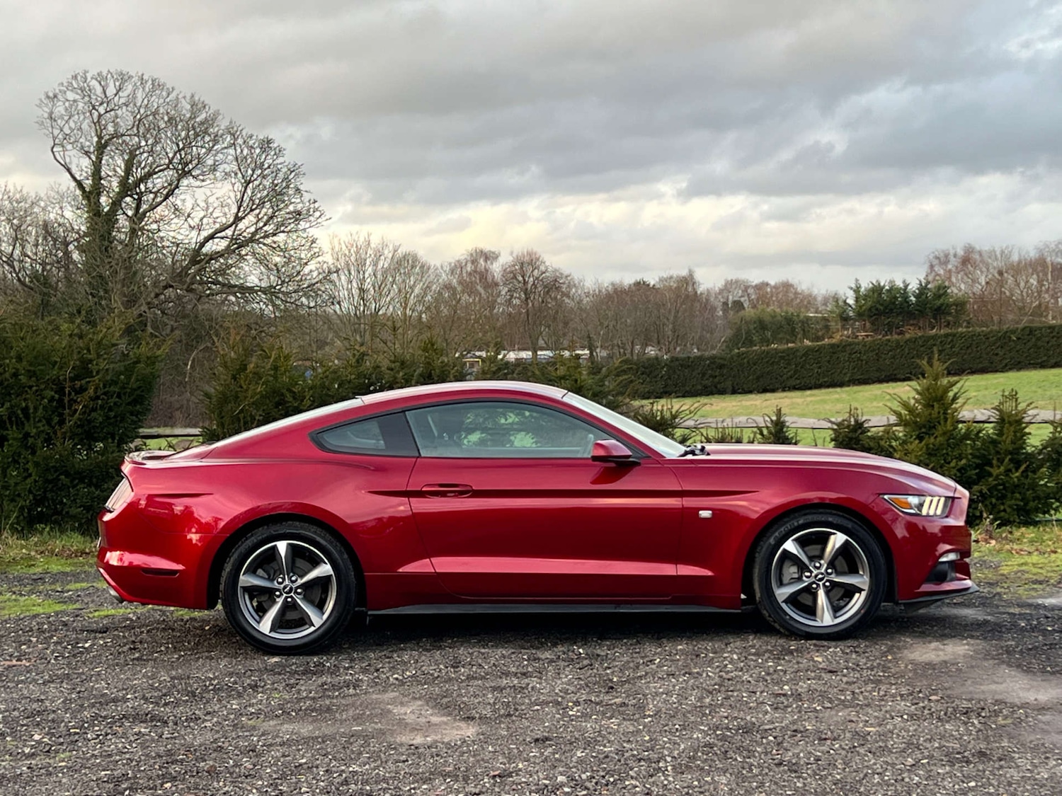 Used Ford Mustang 2015 for sale - 77262718: Photo 13