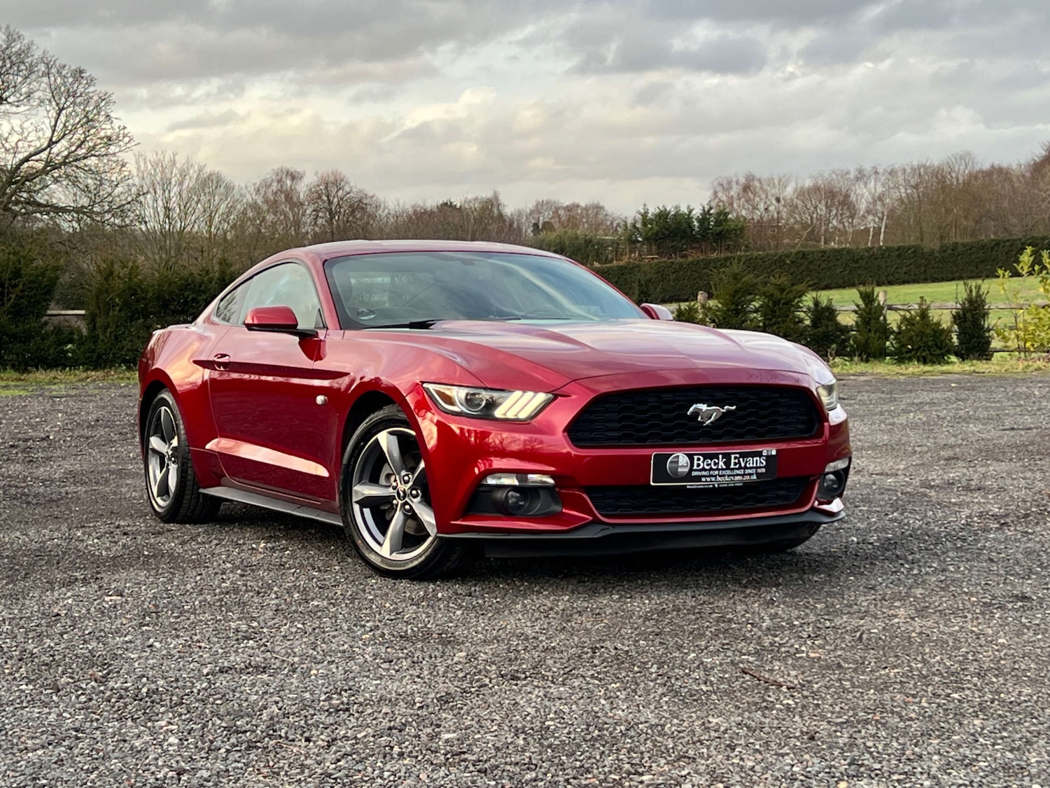 Used Ford Mustang 2015 for sale - 77262718: Photo 31