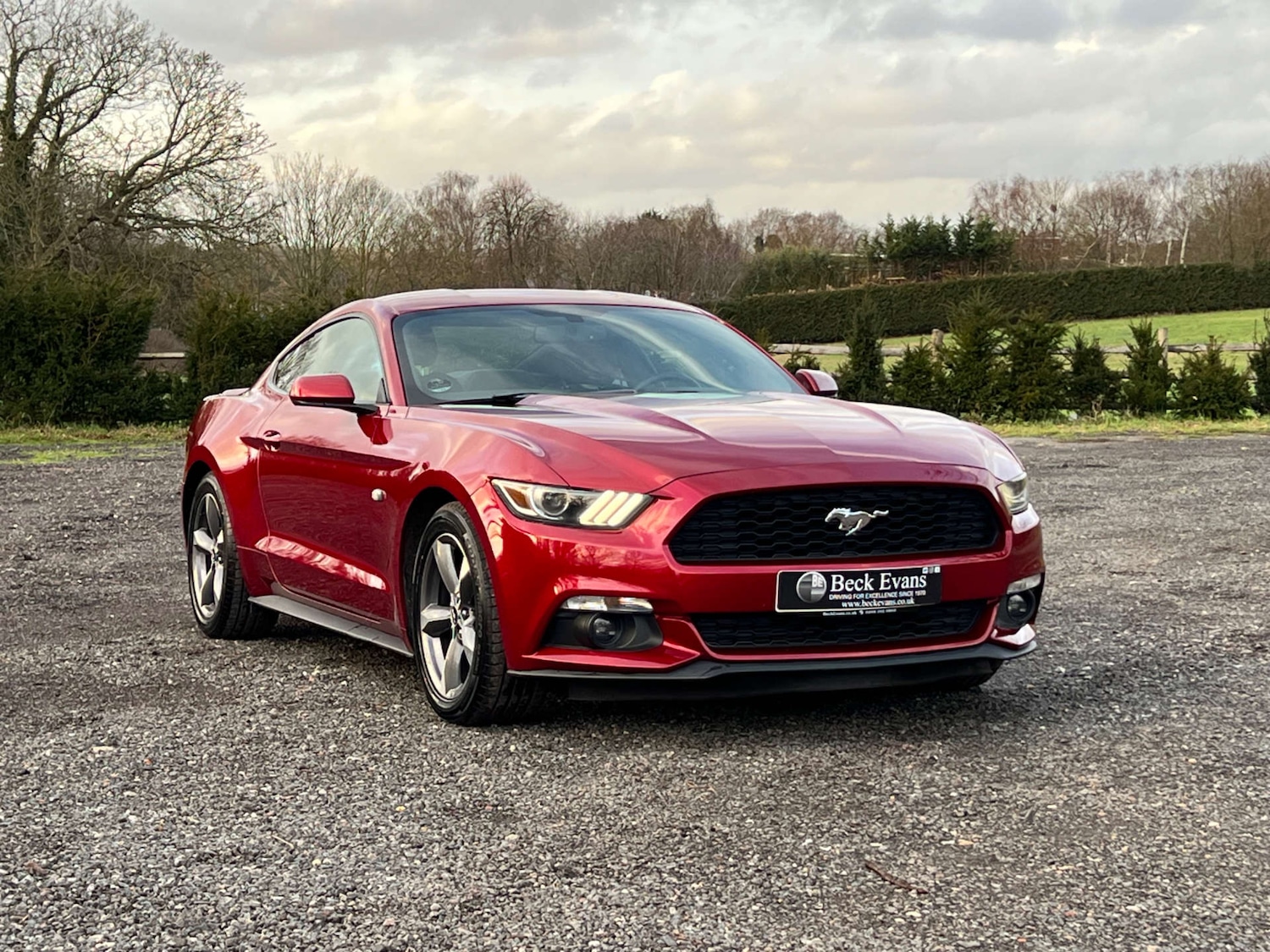 Used Ford Mustang 2015 for sale - 77262718: Photo 36