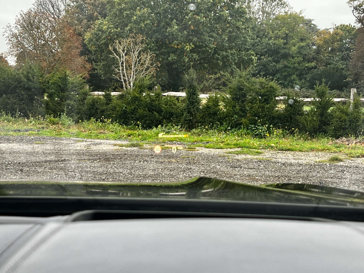 Used BMW 8 Series 2021 for sale - 76144425: Photo 52