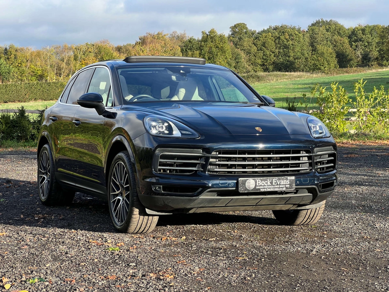 Used Porsche Cayenne 2020 for sale - 76304372: Photo 10