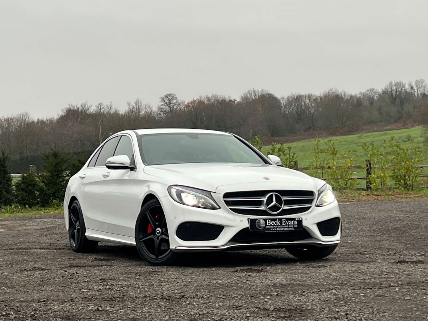 Used Mercedes-Benz C Class 2017 for sale - 77022290: Photo 10