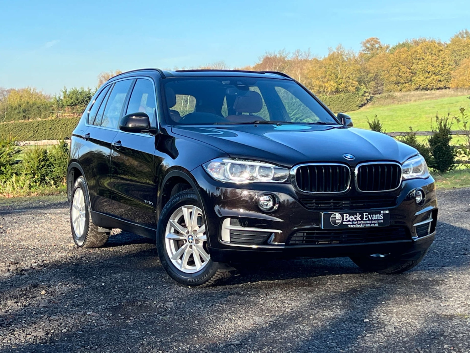Used BMW X5 2016 for sale - 76693617: Photo 10