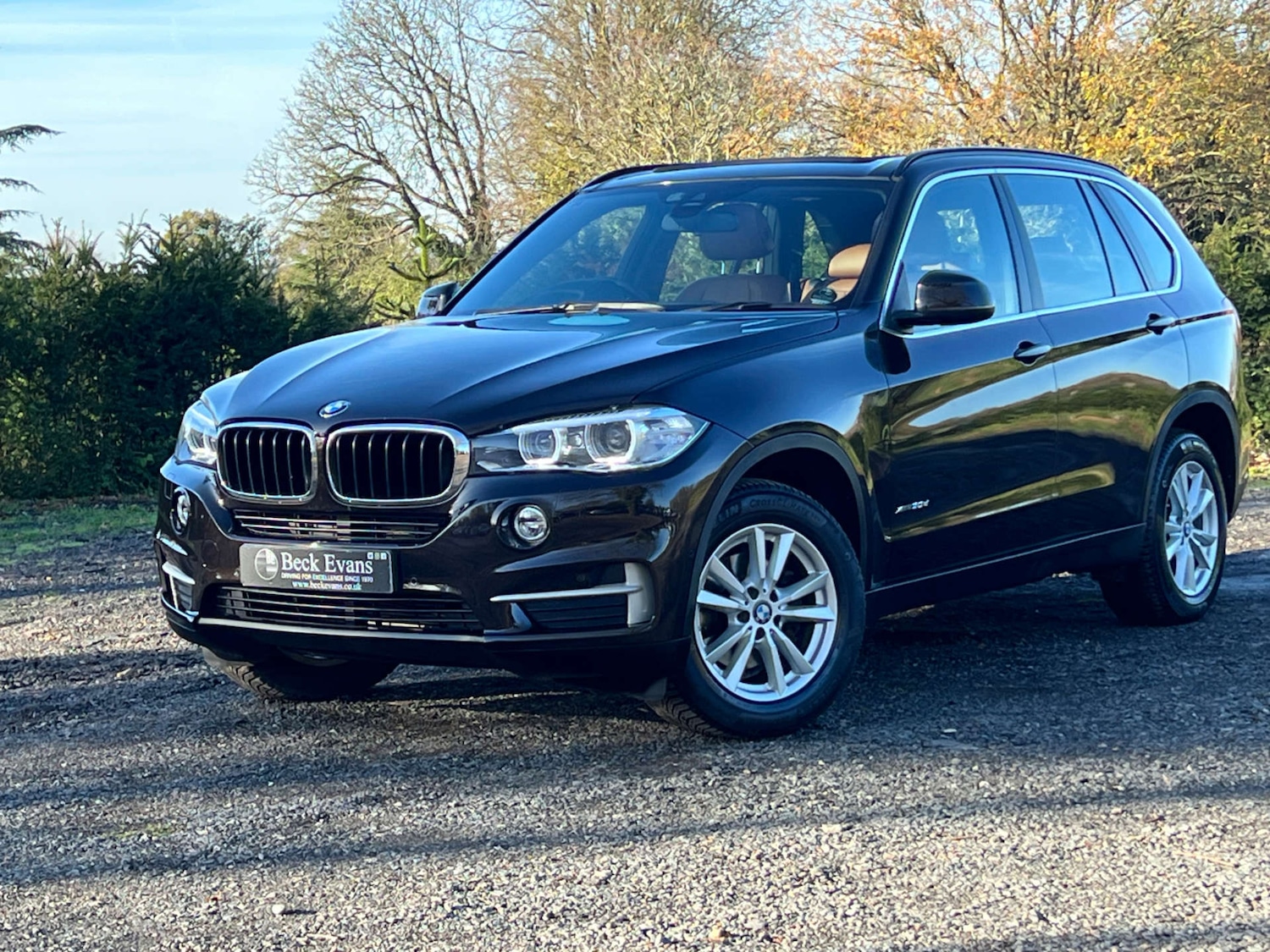 Used BMW X5 2016 for sale - 76693617: Photo 14