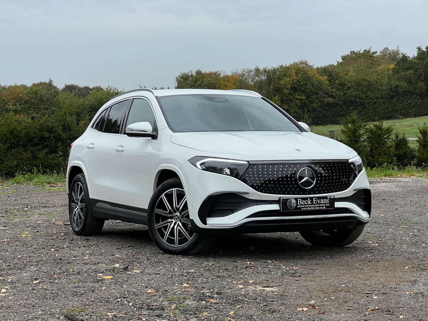 Used Mercedes-Benz EQA 2024 for sale - 76080218: Photo 10