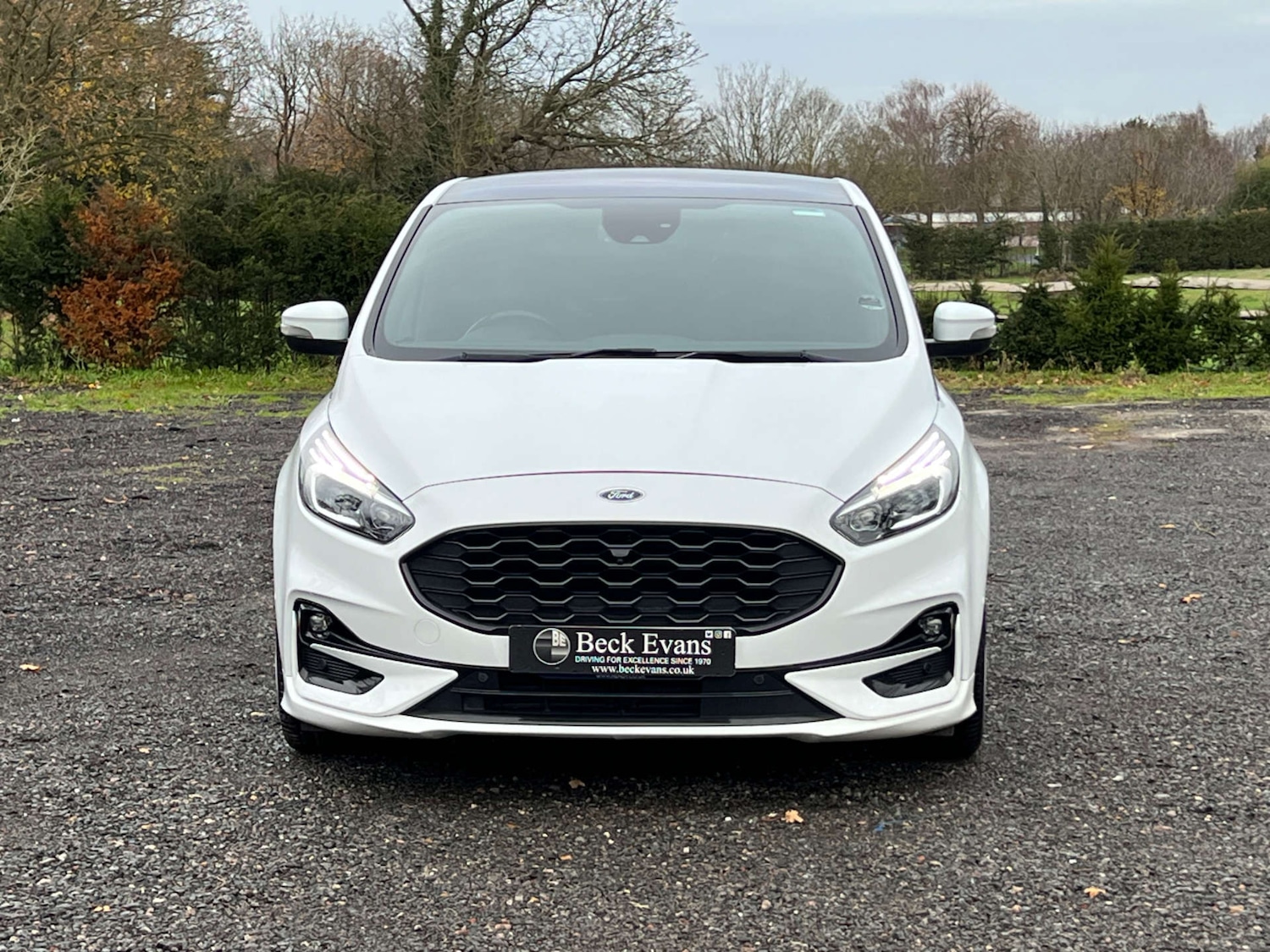 Used Ford S-Max 2020 for sale - 76764999: Photo 2