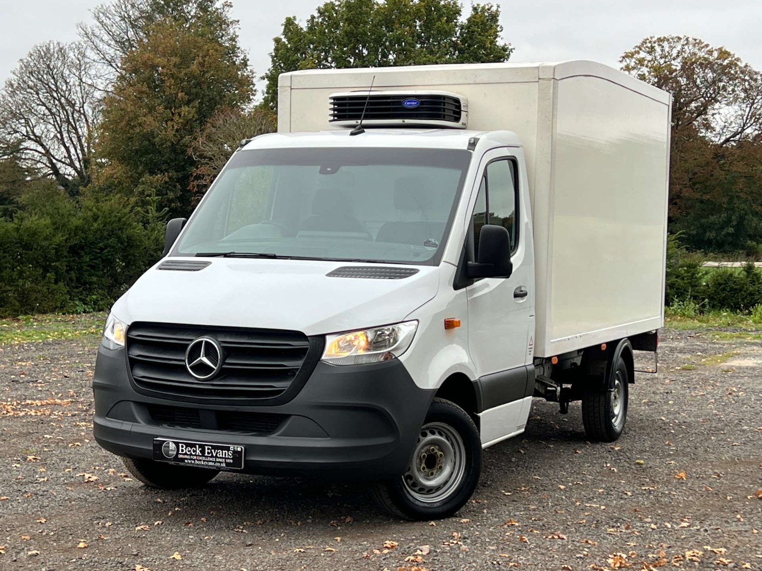 Used Mercedes-Benz Sprinter 2020 for sale - 76354272: Photo 1
