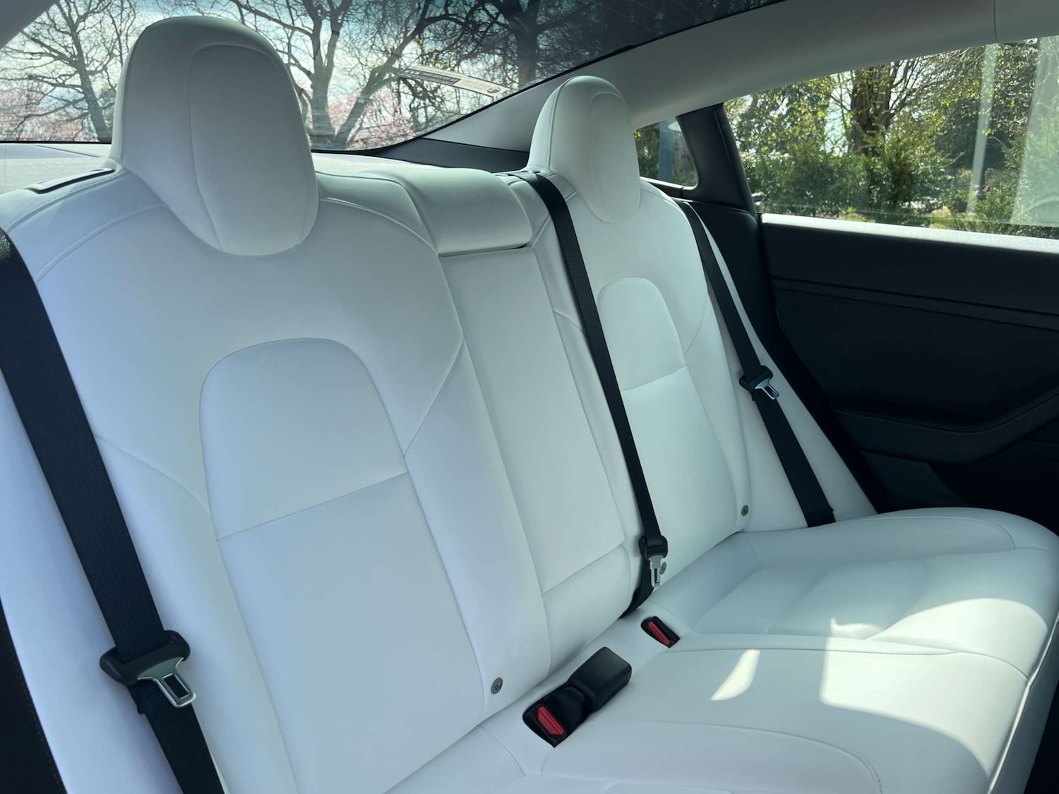 Used Tesla Model 3 2022 for sale - 78094479: Photo 16