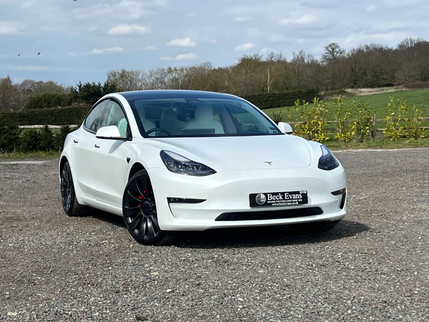 Used Tesla Model 3 2022 for sale - 78094479: Photo 28