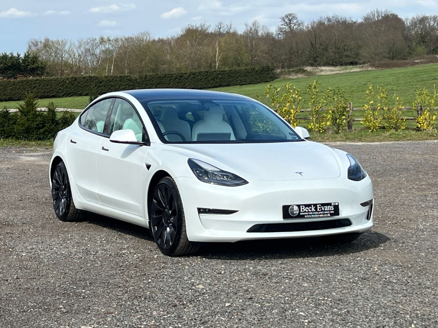 Used Tesla Model 3 2022 for sale - 78094479: Photo 33
