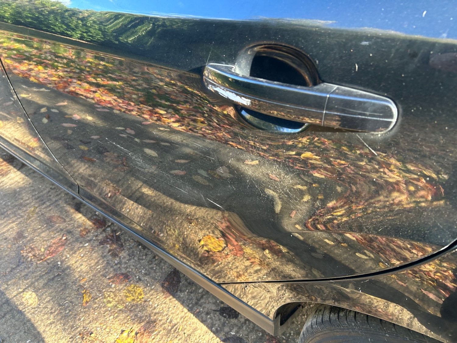 Used Ford Focus 2011 for sale - 76436681: Photo 5