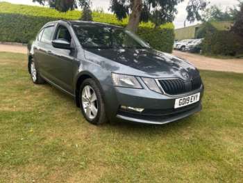 Used Skoda Octavia 2019 for sale - 74730092: Photo