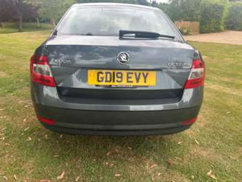 Used Skoda Octavia 2019 for sale - 74730092: Photo