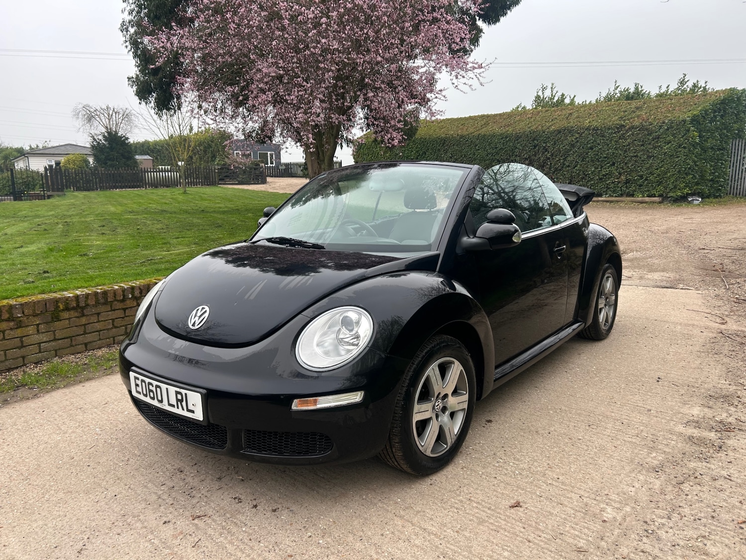 Used Volkswagen Beetle 2010 for sale - 77789115: Photo 2