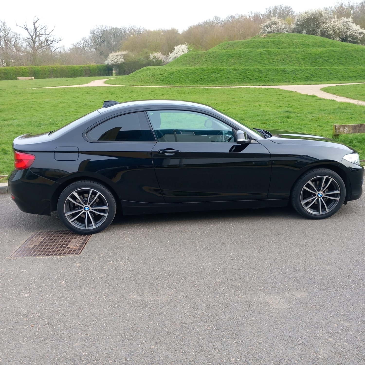 Used BMW 2 Series 2017 for sale - 78023845: Photo 11