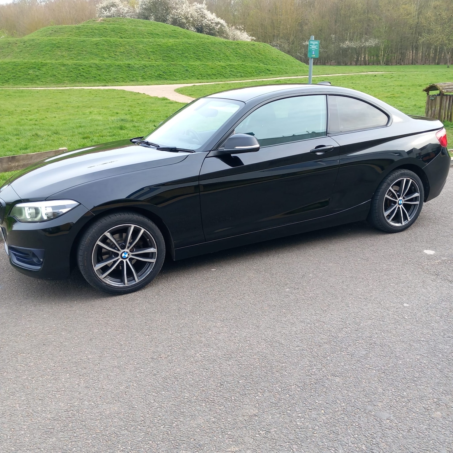 Used BMW 2 Series 2017 for sale - 78023845: Photo 3