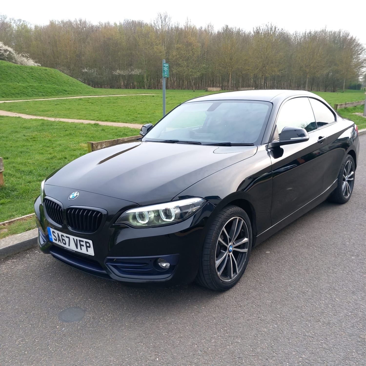 Used BMW 2 Series 2017 for sale - 78023845: Photo 4