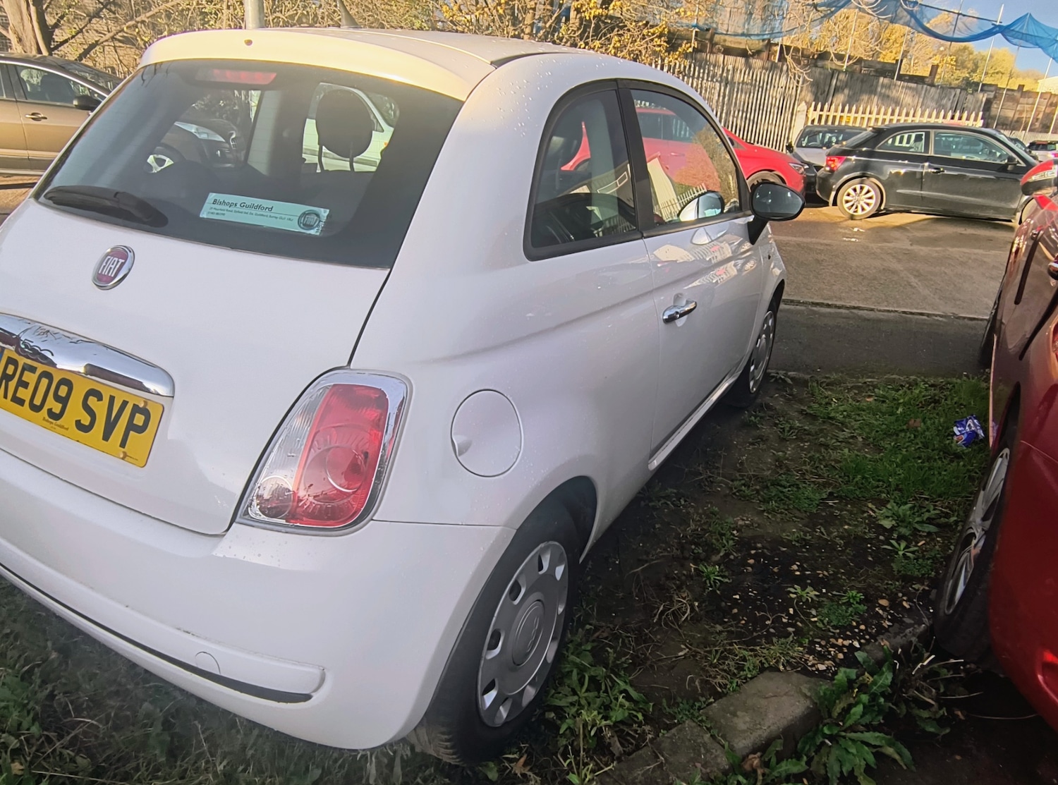 Used Fiat 500 2009 for sale - 76494461: Photo 2