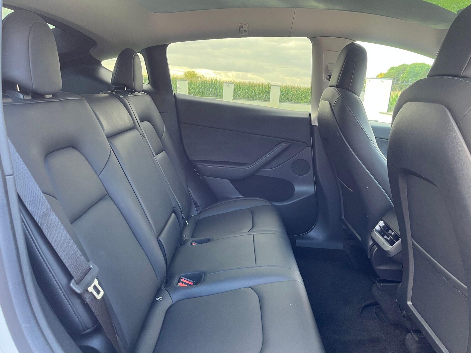 Used Tesla Model Y for sale - 77808415: Photo 14