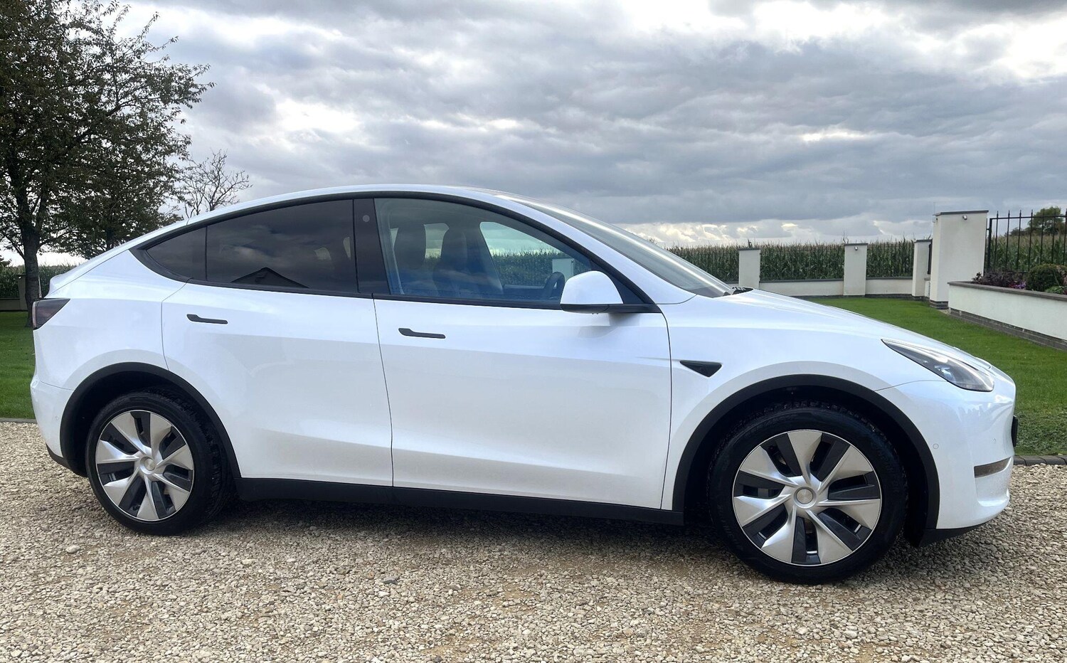 Used Tesla Model Y for sale - 77808415: Photo 9