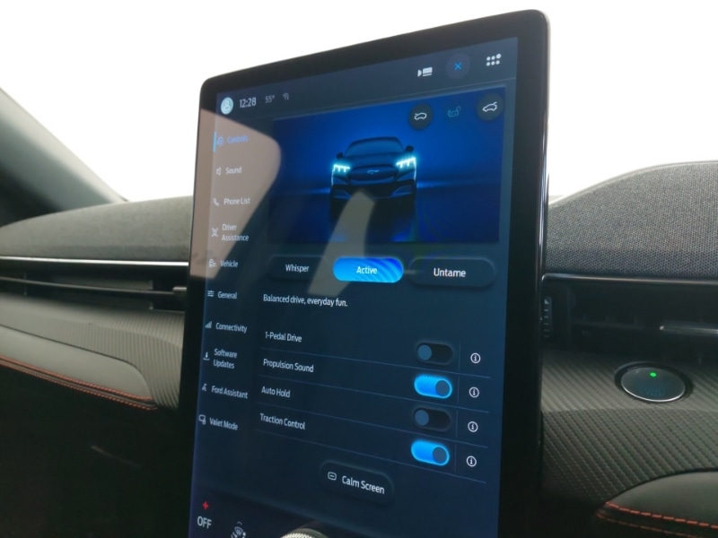 Used Ford Mustang Mach-E 2021 for sale - 76906598: Photo 19