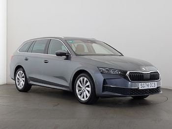 Used Skoda Octavia 2024 for sale - 79078149: Photo