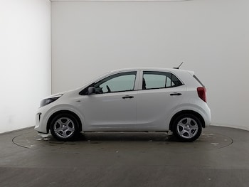 Used Kia Picanto 2023 for sale - 77491488: Photo