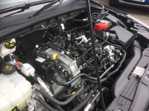 Used Ford Focus 2023 for sale - 75538020: Photo 44