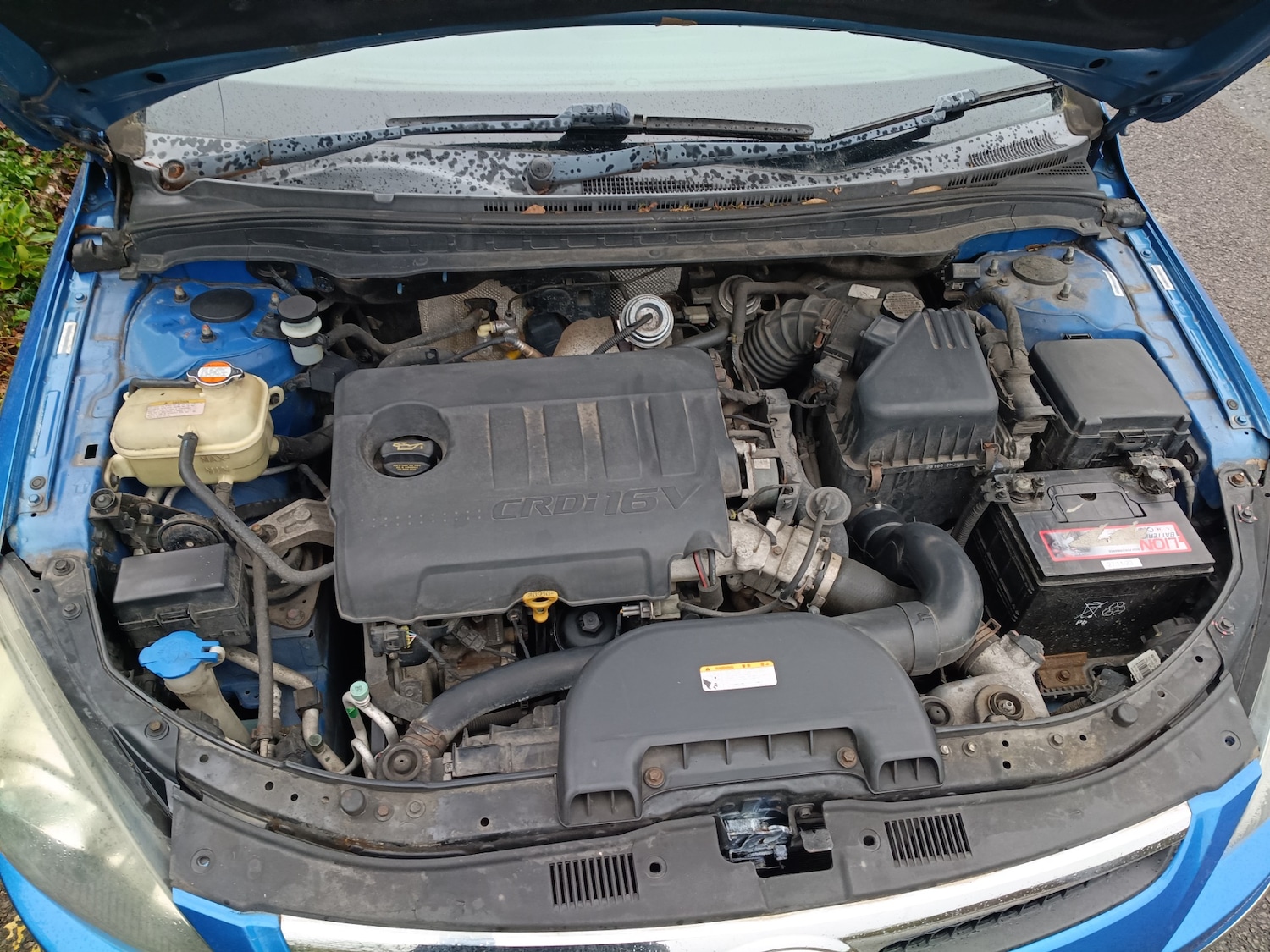 Used Hyundai i30 2010 for sale - 77781848: Photo 40