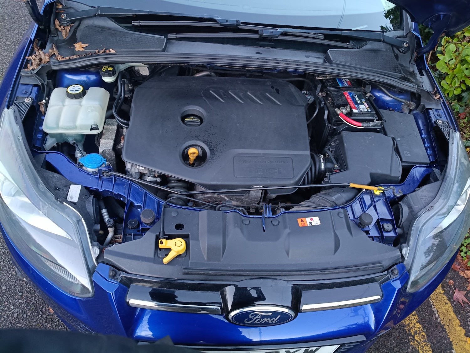 Used Ford Focus 2014 for sale - 76750588: Photo 36