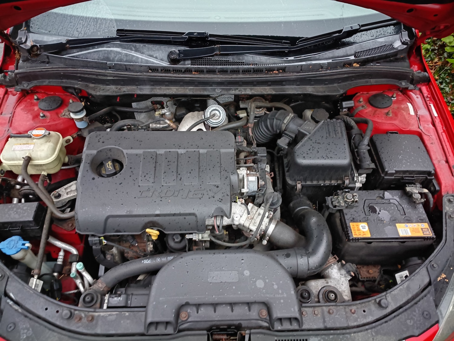 Used Hyundai i30 2010 for sale - 76471342: Photo 23