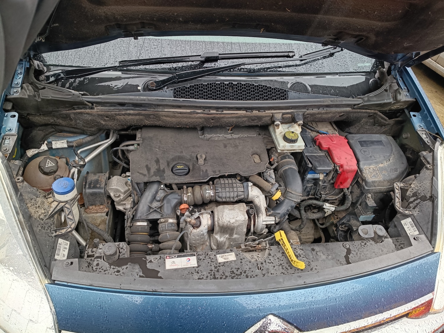 Used Citroen Berlingo Multispace 2013 for sale - 77619419: Photo 43