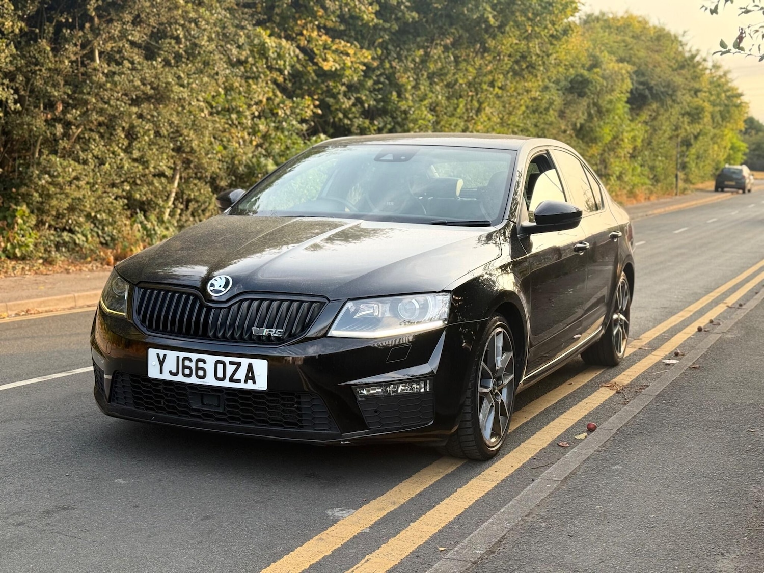 Used Skoda Octavia 2016 for sale - 76579756: Photo 3
