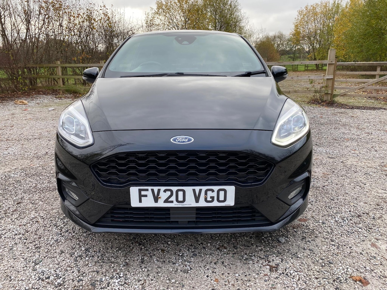 Used Ford Fiesta 2020 for sale - 76689231: Photo 2