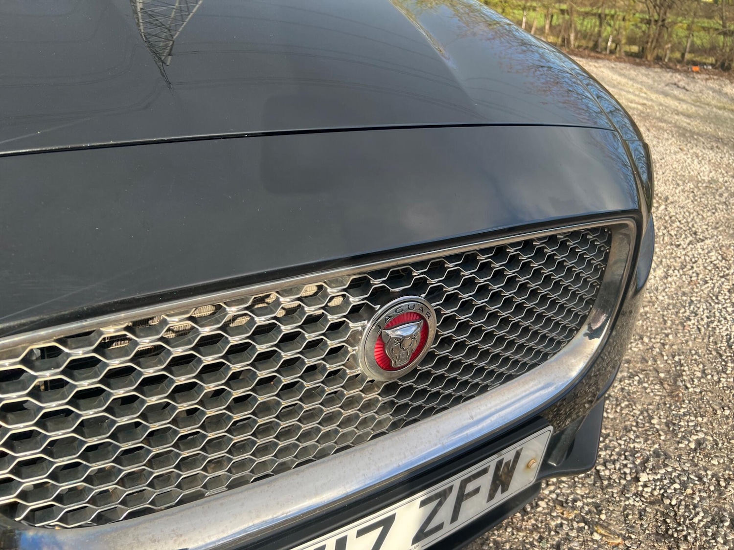 Used Jaguar XE 2017 for sale - 77882639: Photo 18