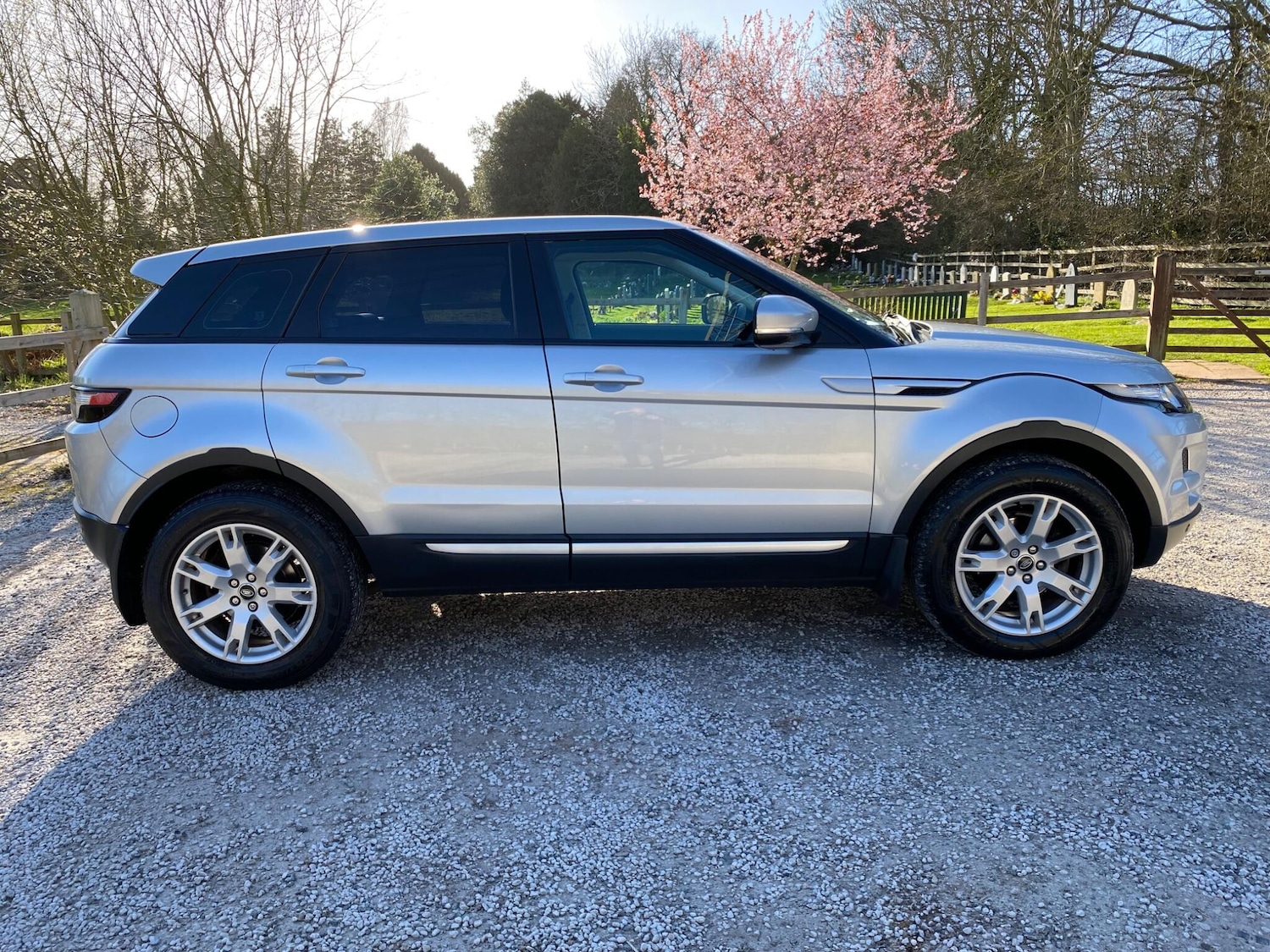 Used Land Rover Range Rover Evoque for sale - 77925640: Photo 8