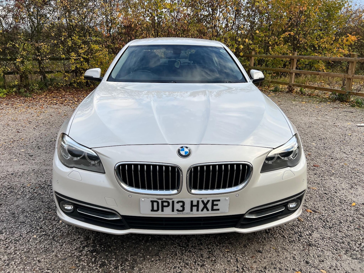 Used BMW 5 Series 2013 for sale - 76432204: Photo 2