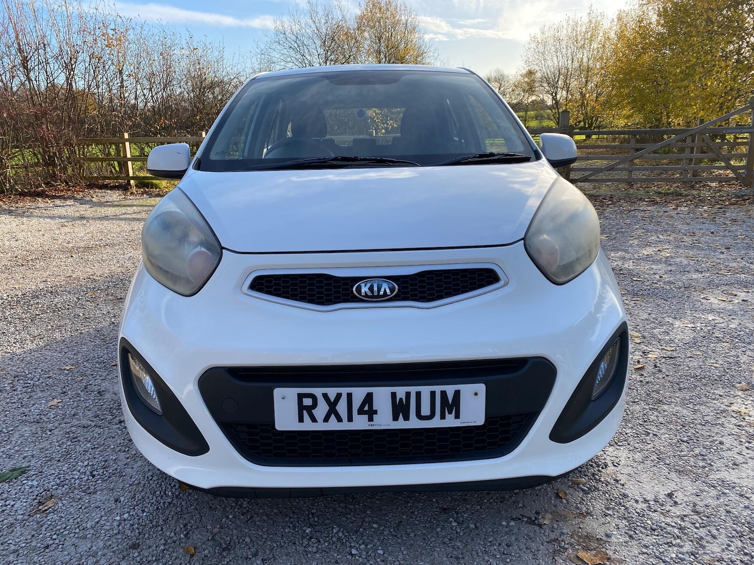 Used Kia Picanto 2014 for sale - 76742794: Photo 2