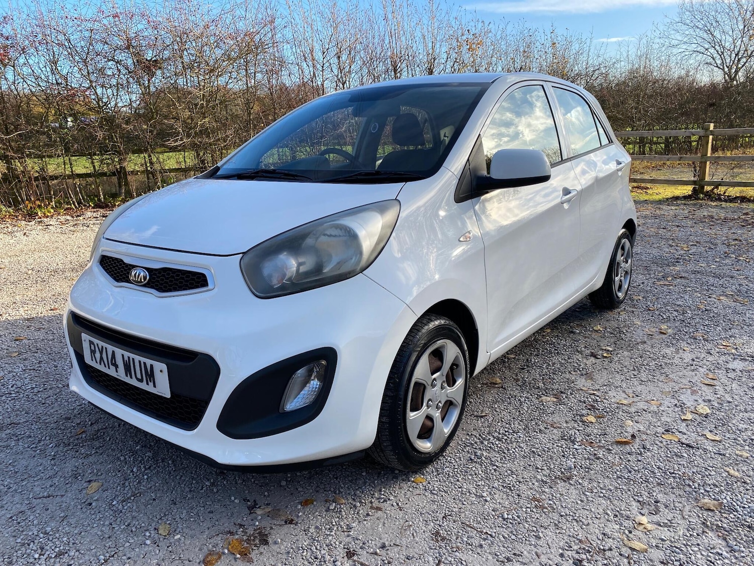 Used Kia Picanto 2014 for sale - 76742794: Photo 3