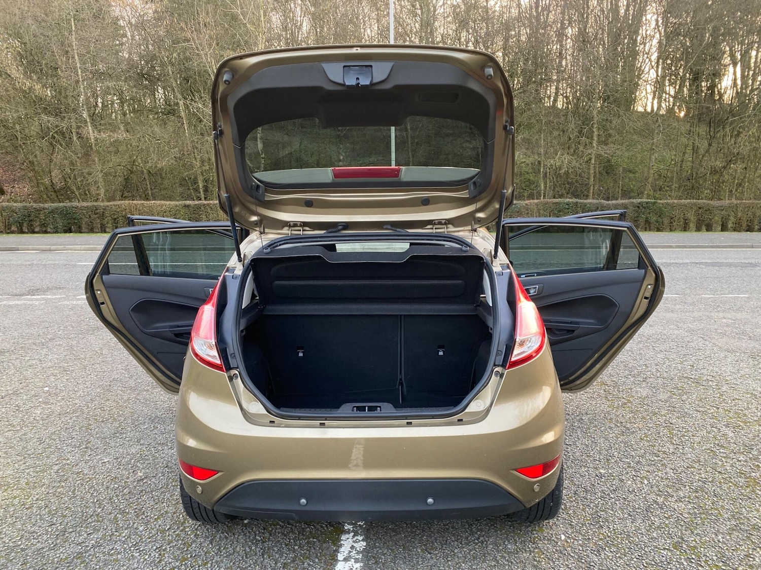 Used Ford Fiesta for sale - 77768481: Photo 21