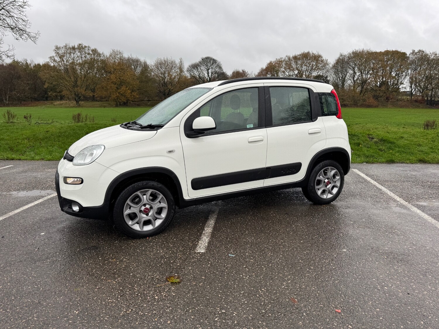 Used Fiat Panda 2013 for sale - 76571428: Photo 12