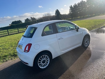 Used Fiat 500 2017 for sale - 77011688: Photo