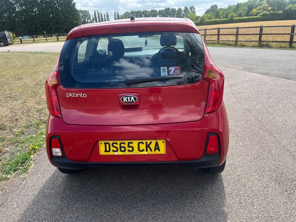 Used Kia Picanto 2016 for sale - 75498883: Photo 5