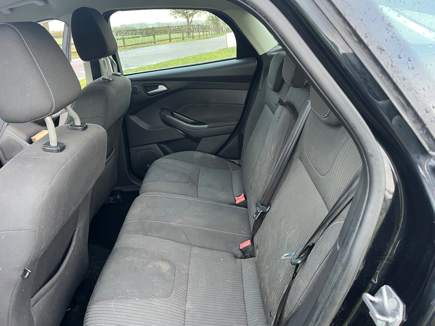 Used Ford Focus 2014 for sale - 77379287: Photo 13