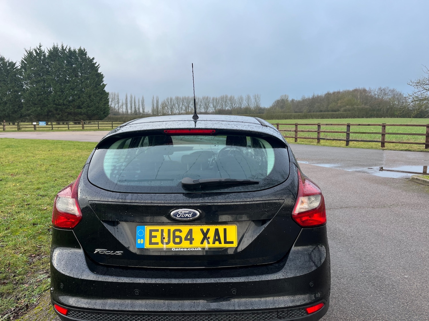 Used Ford Focus 2014 for sale - 77379287: Photo 5