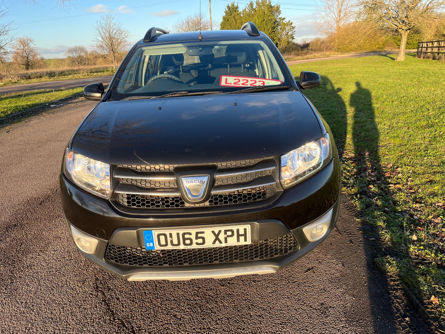 Used Dacia Sandero Stepway 2015 for sale - 76694847: Photo 9