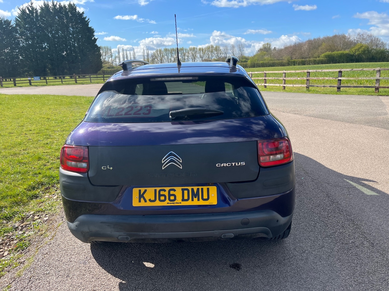 Used Citroen C4 Cactus 2017 for sale - 78025324: Photo 6