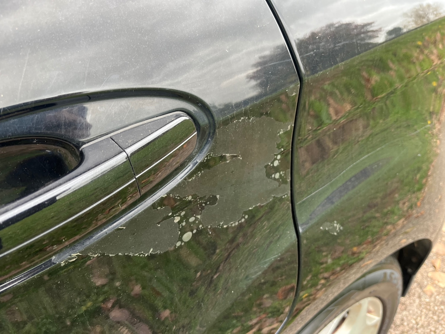 Used Ford C-Max 2014 for sale - 76253031: Photo 16